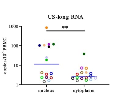 Open access visualization of Scatter Plot, PBMCs, Nucleocytoplasmic Fractionation, Nucleic Acid Isolation, RT-qPCR