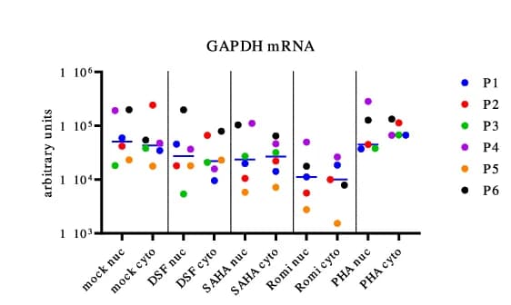 Open access visualization of Scatter Plot, Error Bars, CD8+ Depleted PBMCs, Ex vivo cultures, Nucleocytoplasmic Fractionation