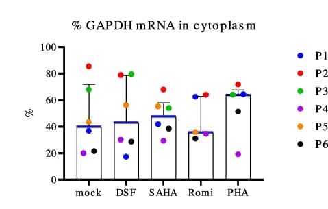 Open access visualization of Bar Plot, Scatter Plot, Error Bars, gapdh mRNA, Cytoplasmic Fraction