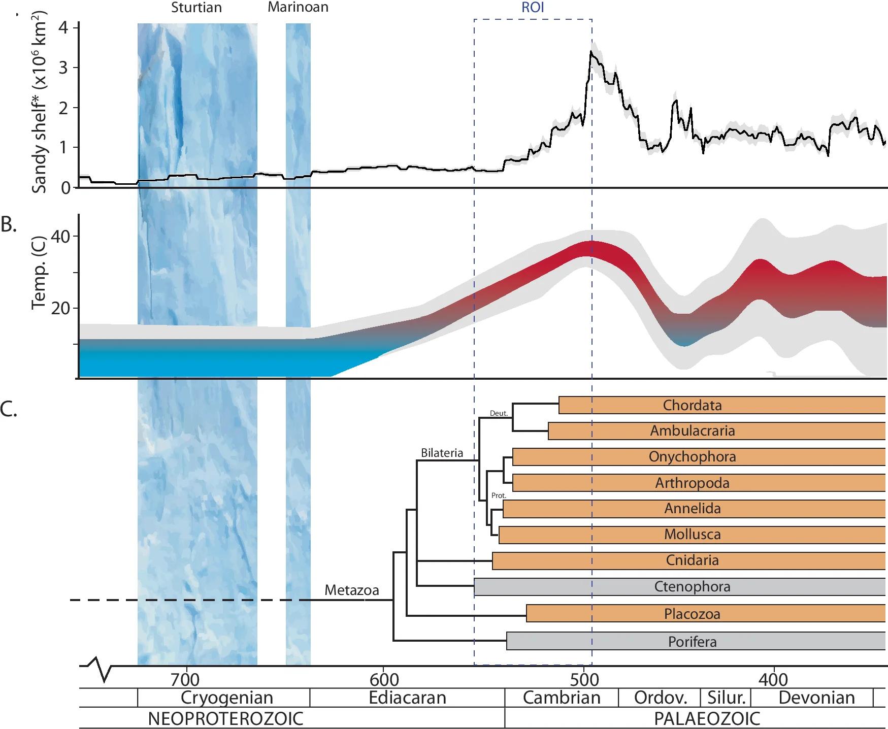 Open access visualization of Line Plot, Error Bars, Workflow, Sandy Shelf Area, Laurentia