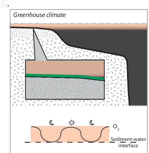 Open access visualization of Illustration, Sandy Shelf, Habitat Expansion, Benthic Microalgae, Photic Zone
