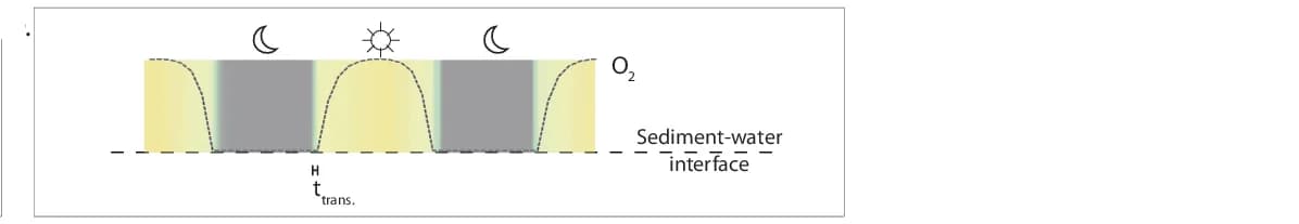 Open access visualization of Line Plot, Line Step, Diel Oxygen Amplitudes, Hypoxic Conditions, Benthic Animals