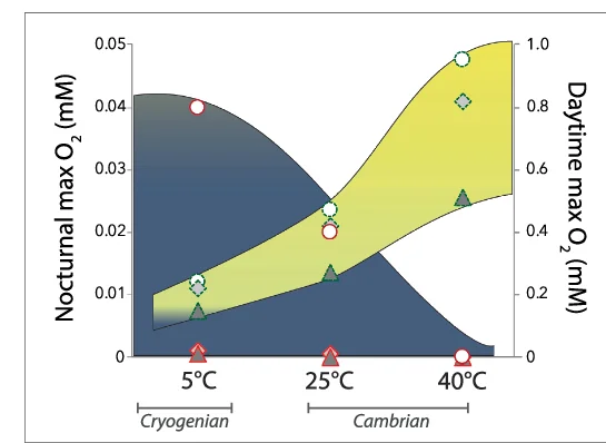 Open access visualization of Line Plot, Scatter Plot, Modelling Results, Benthic O2 Concentrations, TOC Settings