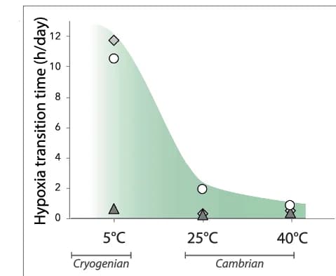 Open access visualization of Line Plot, Scatter Plot, Modelling Results, Transition Times, Hypoxic Conditions