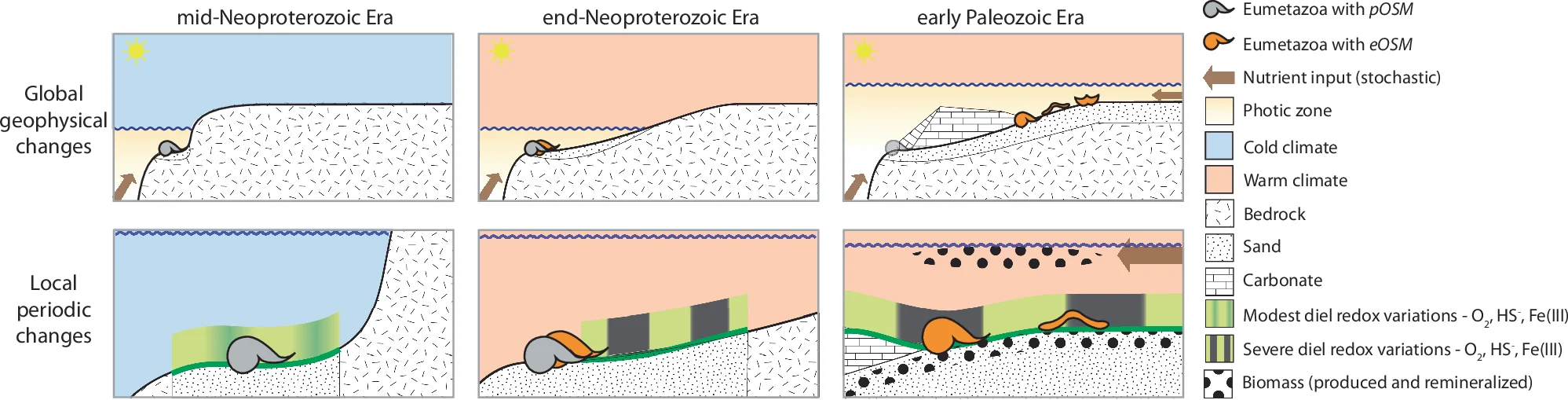 Open access visualization of Illustration, Neoproterozoic, Palaeozoic, Shelf Habitat, Icehouse