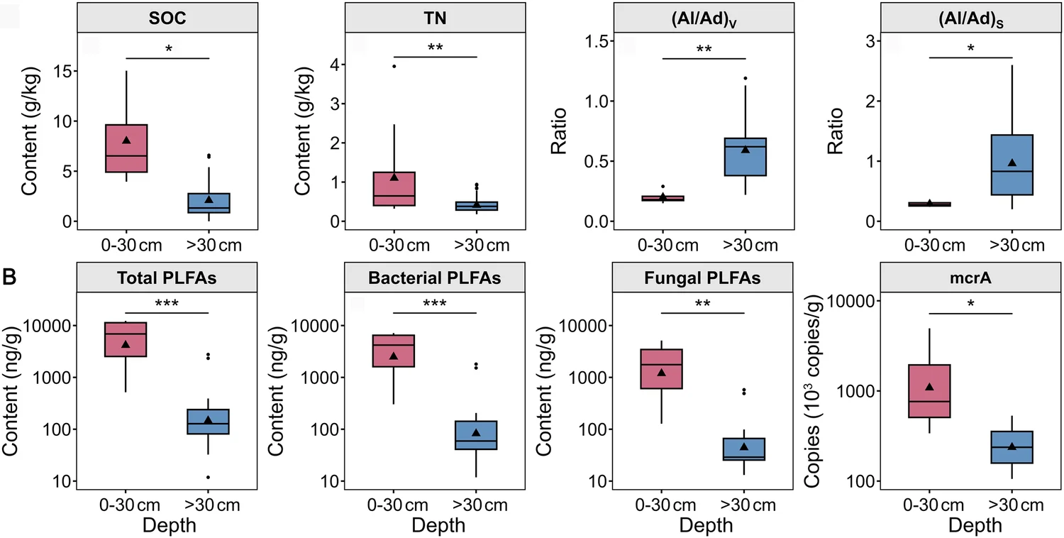 Open access visualization of Box Plot, Soil Organic Carbon, Total Nitrogen, Vanillyls, Syringyls