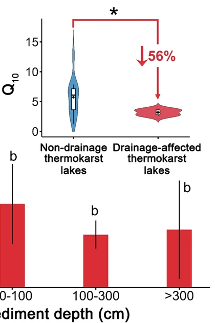 Open access visualization of Violin Plot, Bar Plot, Error Bars, Q10 Values, CH4 Release