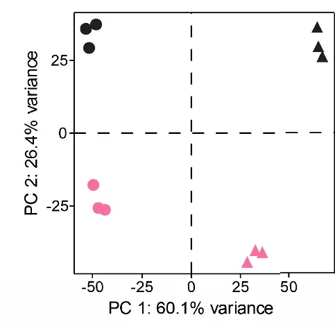 Open access visualization of Scatter Plot, PCA, Transcriptome Data, Newborns, Adults