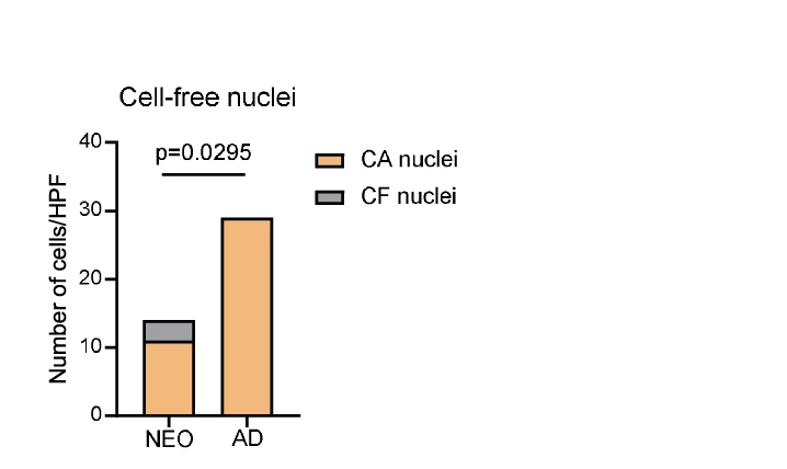 Open access visualization of Bar Plot, Stacked Bar Plot, Cell Nuclei, Cell-Associated, Cell-Free