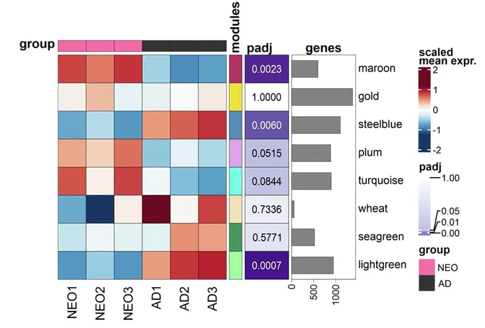 Open access visualization of Heatmap, Bar Plot, Module Heatmap, Gene Expression, Network Modules