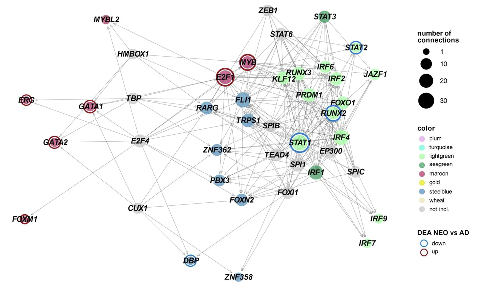 Open access visualization of Network, Pathway, Network Construction, Transcription Factors, Target Transcription Factors