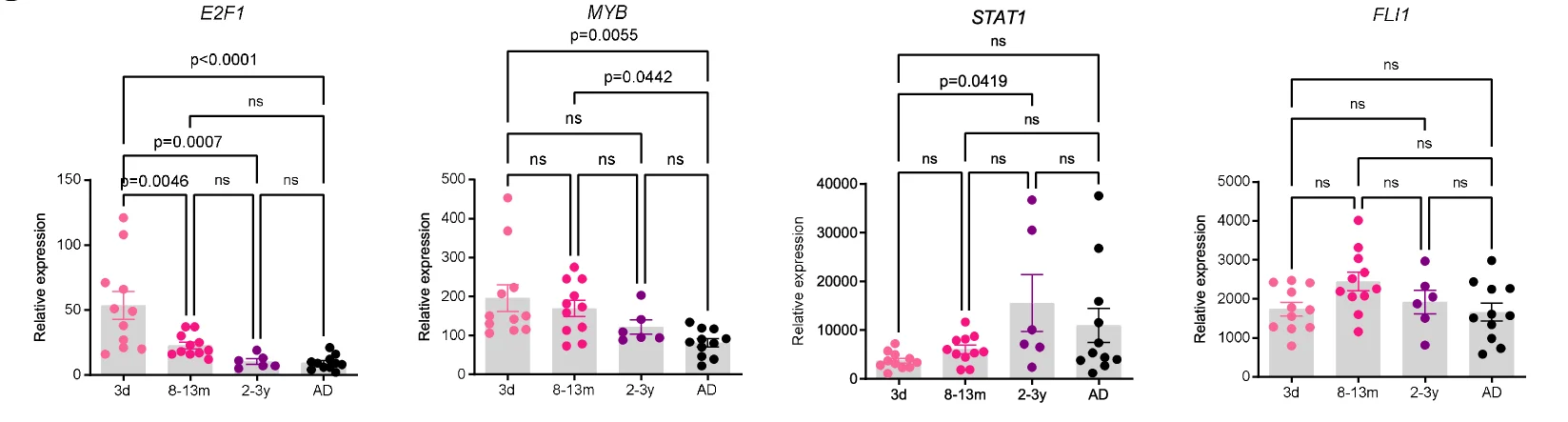 Open access visualization of Bar Plot, Error Bars, Scatter Plot, E2F1, MYB