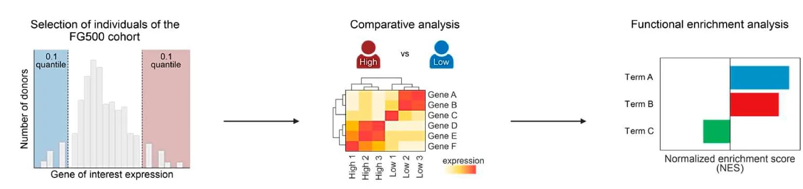 Open access visualization of Workflow, Bar Plot, Heatmap, Clustered, Human Variation Analysis