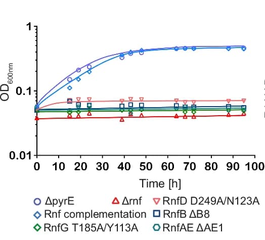 Open access visualization of Line Plot, Scatter Plot, Rnf Complementation, A. woodii, H2