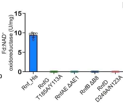 Open access visualization of Bar Plot, Scatter Plot, Rnf Complementation, A. woodii, H2