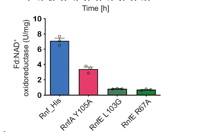 Open access visualization of Bar Plot, Error Bars, Rnf Complementation Strain, A. Woodii, Hydrogen