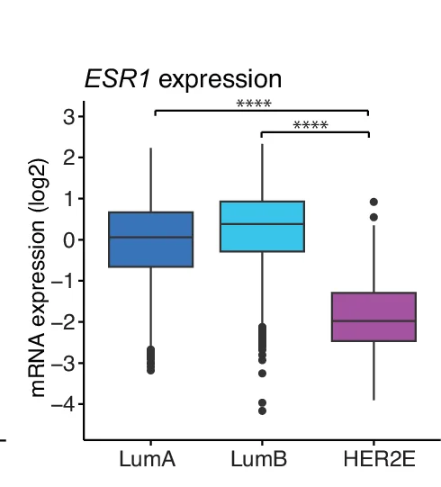 Open access visualization of Box Plot, mRNA Expression, ESR1