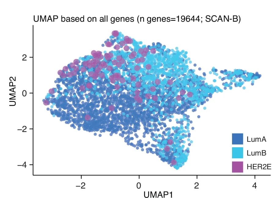 Open access visualization of Scatter Plot, Bubble Plot, UMAP, UMAP Analysis, FPKM Expression Data