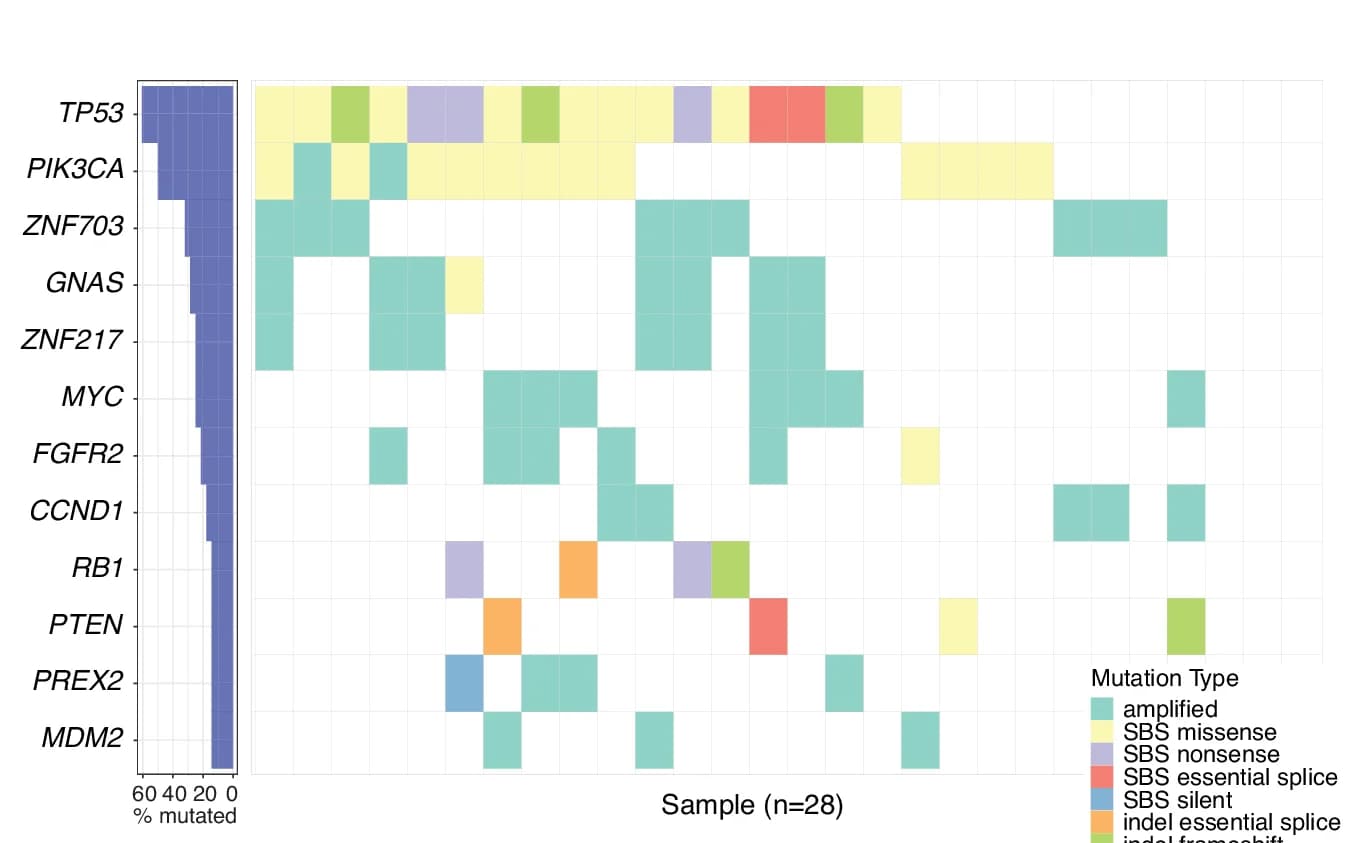 Open access visualization of Heatmap, Bar Plot, Mutational Landscape, Amplification Landscape, Tumor Drivers