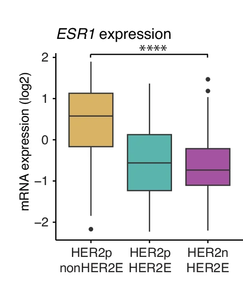 Open access visualization of Box Plot, mRNA Expression, ESR1