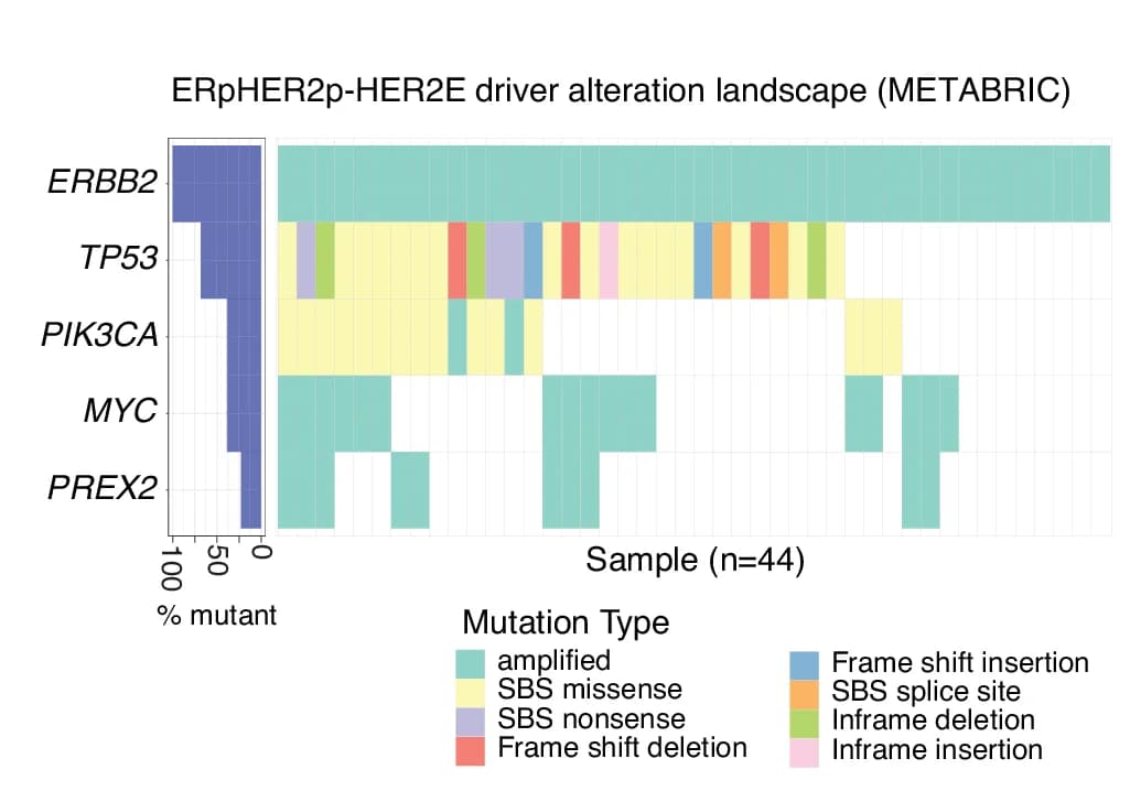 Open access visualization of Bar Plot, Stacked Bar Plot, Mutational Landscape, Amplification Landscape, Tumor Drivers