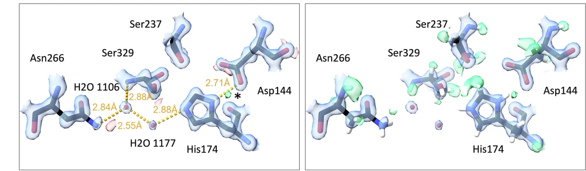 Open access visualization of Protein Structure, Chemical Structure, Maps, Hydrogen Omit Maps, Active Site Residues