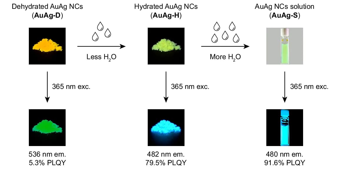 Open access visualization of Workflow, Photo, AuAg-D NCs, AuAg-H NCs, AuAg-S NCs