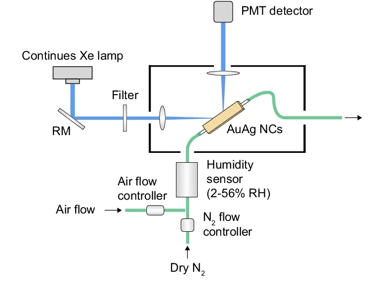 Open access visualization of Workflow, Flowchart, Illustration, PL Testing System, RH Environment