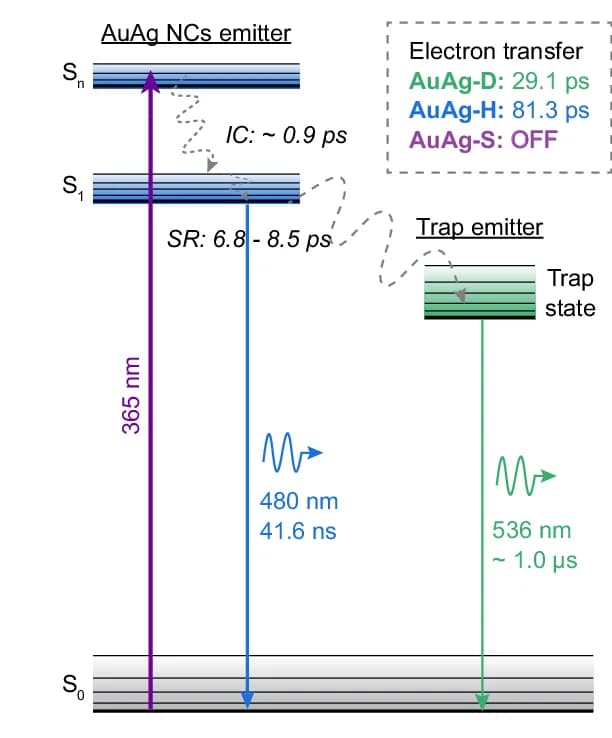 Open access visualization of Workflow, Illustration, Diagram, Trap-State Emission, Water Molecules
