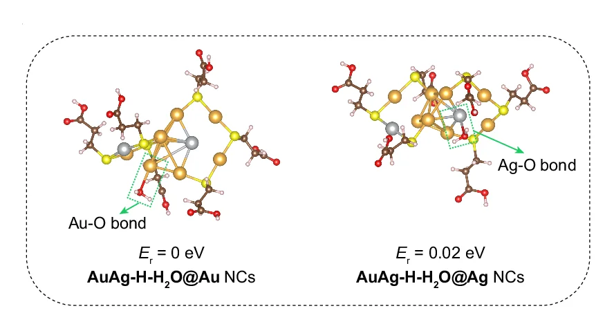 Open access visualization of Chemical Structure, AuAg-H NCs, H2O Molecule, Anchoring, Au-O Bonds