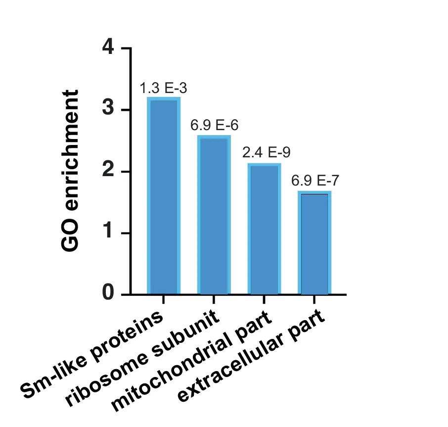 Open access visualization of Bar Plot, GO Component, Synaptosome, Transcripts, Enrichment Test