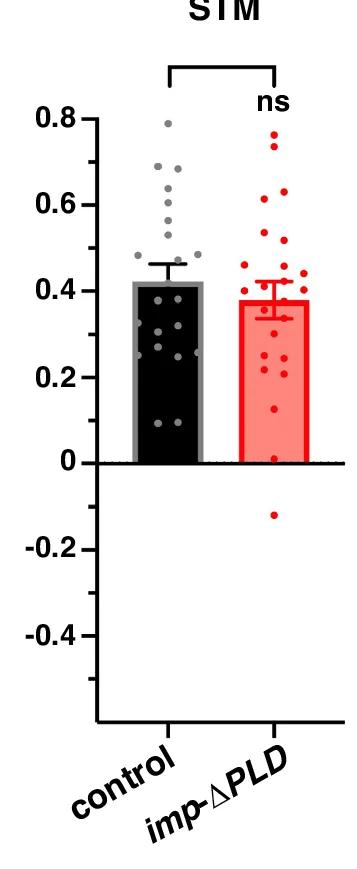 Open access visualization of Bar Plot, Error Bars, Scatter Plot, Courtship Suppression Index, Short-Term Memory