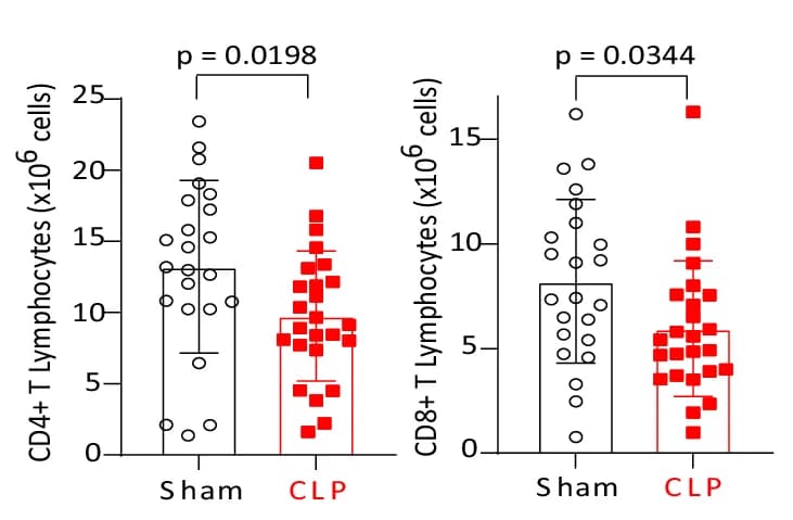 Open access visualization of Bar Plot, Error Bars, Scatter Plot, CD4+ T Cells, CD8+ T Cells