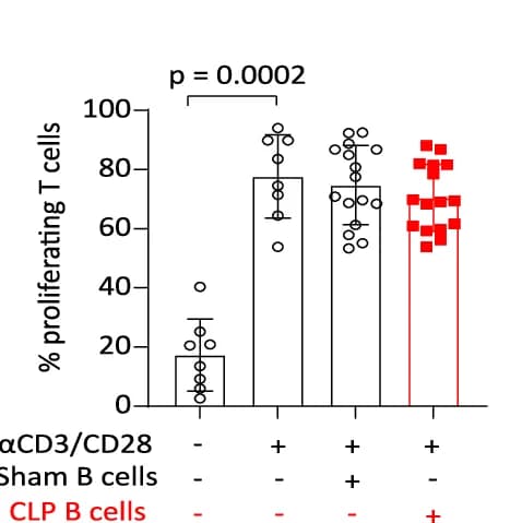 Open access visualization of Bar Plot, Scatter Plot, Error Bars, IFNg, Culture Supernatants