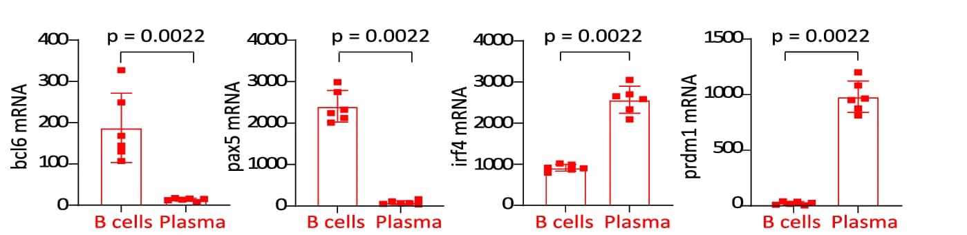 Open access visualization of Bar Plot, Scatter Plot, Error Bars, mRNA Expression, Transcription Factors