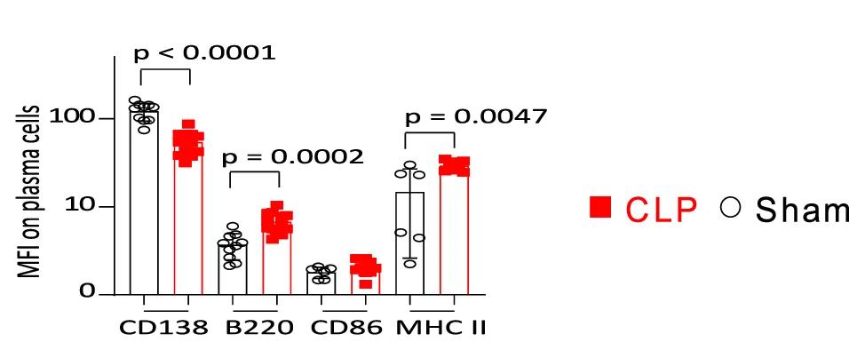 Open access visualization of Bar Plot, Scatter Plot, Error Bars, Plasma Cell Expression, CD138