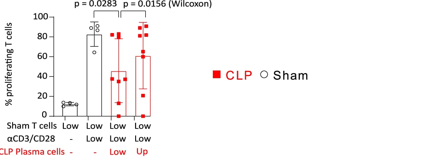 Open access visualization of Bar Plot, Error Bars, Scatter Plot, Splenic T Cells, Sham Mice