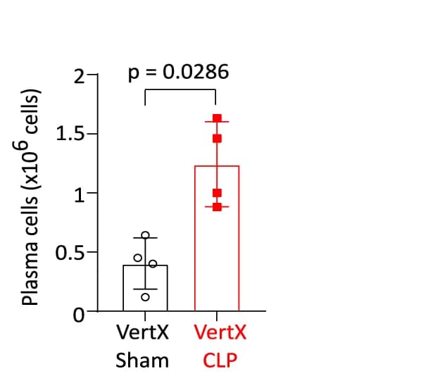 Open access visualization of Bar Plot, Error Bars, B Cells, Plasma Cells, CLP Mice