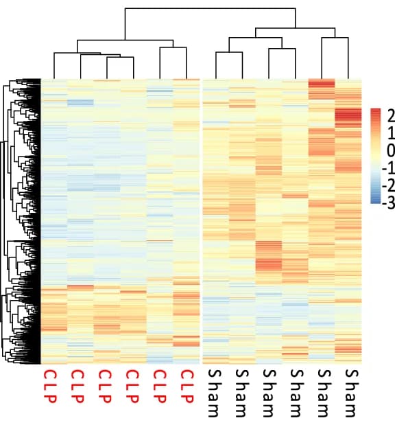 Open access visualization of Heatmap, Clustered, mRNA, Plasma Cells, Spleen
