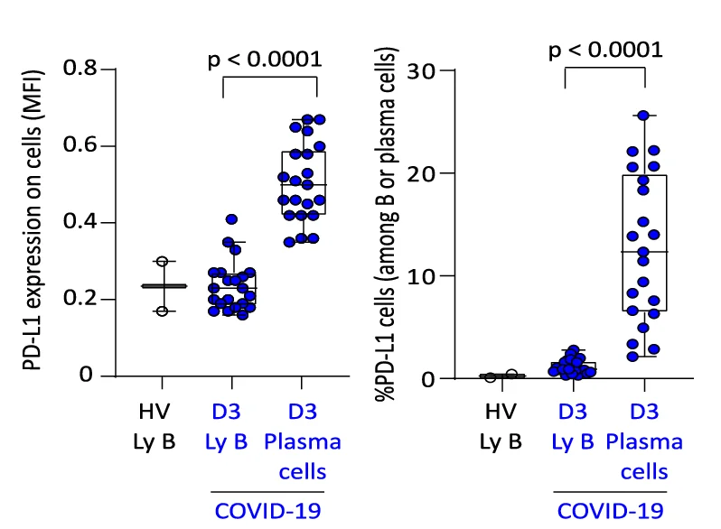 Open access visualization of Box Plot, Scatter Plot, Fluorescence Intensity, B Cells, Plasma Cells