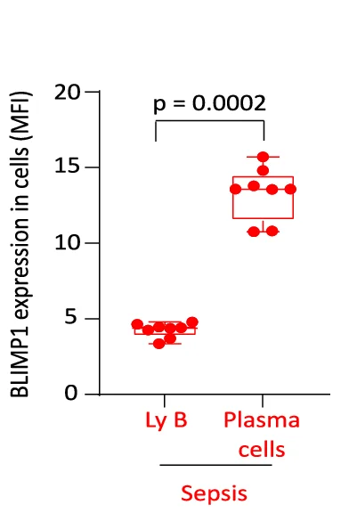 Open access visualization of Box Plot, Scatter Plot, Fluorescence Intensity, B Cells, Plasma Cells