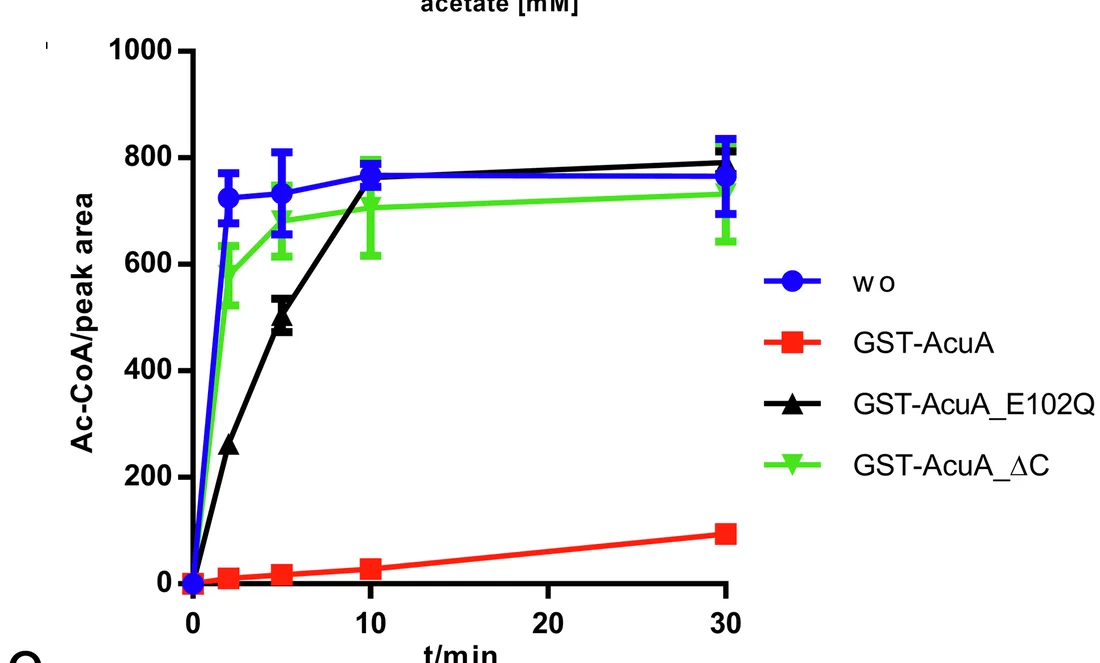 Open access visualization of Line Plot, Error Bars, GST-AcuA_E102Q, AcsA Activity, AcuA_WT