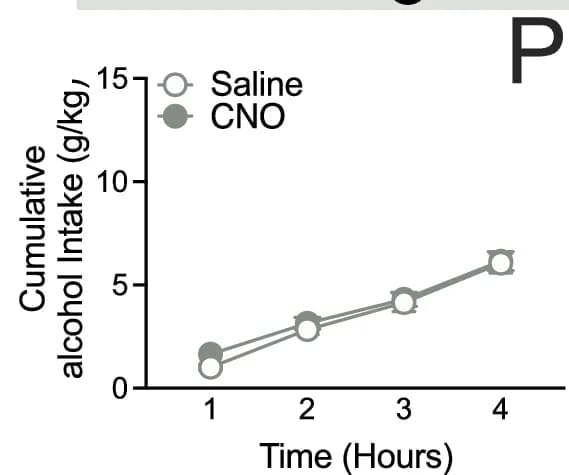 Open access visualization of Line Plot, Error Bars, Male Mice, Control Virus, Alcohol Consumption