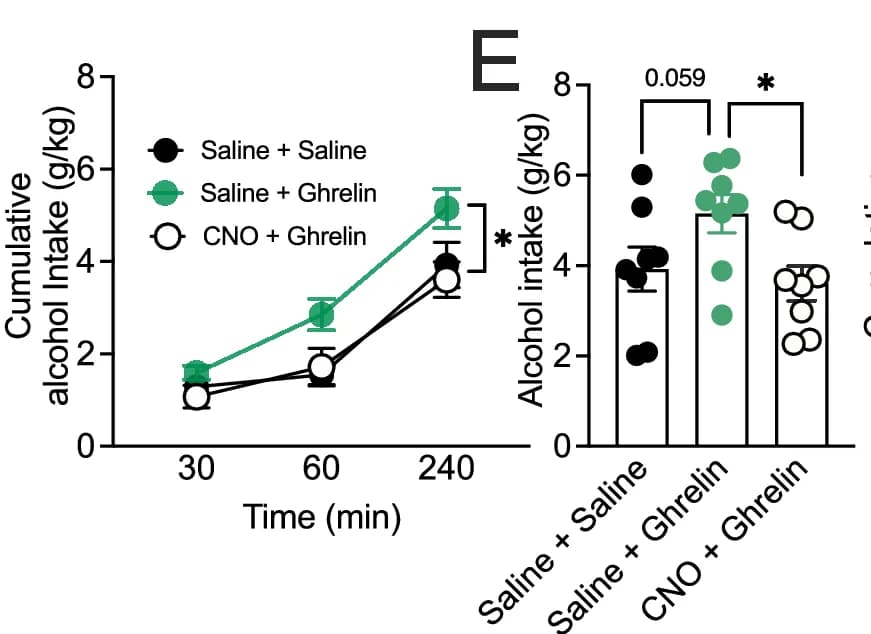 Open access visualization of Line Plot, Error Bars, Bar Plot, Scatter Plot, Ghrelin