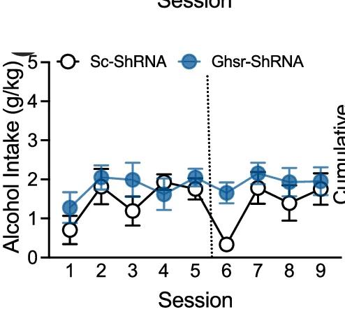 Open access visualization of Line Plot, Error Bars, ShRNA, Alcohol Consumption, Male Mice