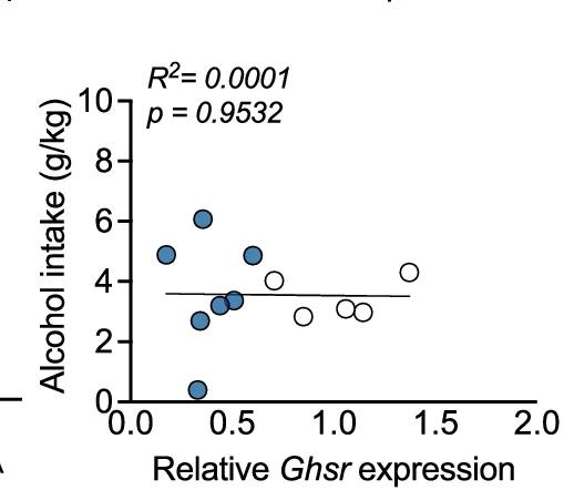 Open access visualization of Scatter Plot, Regression Plot, Alcohol Consumption, Ghsr Expression, Male Mice