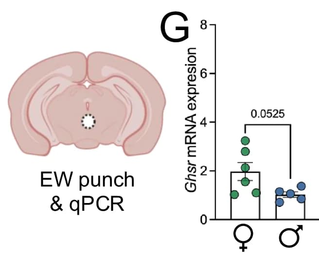Open access visualization of Bar Plot, Error Bars, EW, Punch Location, qPCR Analysis