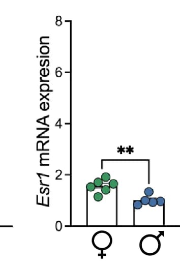 Open access visualization of Bar Plot, Scatter Plot, Estrogen Receptor mRNA, Esr1, ERalpha
