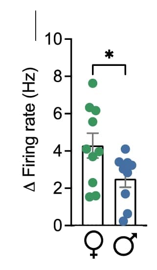 Open access visualization of Bar Plot, Error Bars, Scatter Plot, Delta Firing Rate, Firing Rate