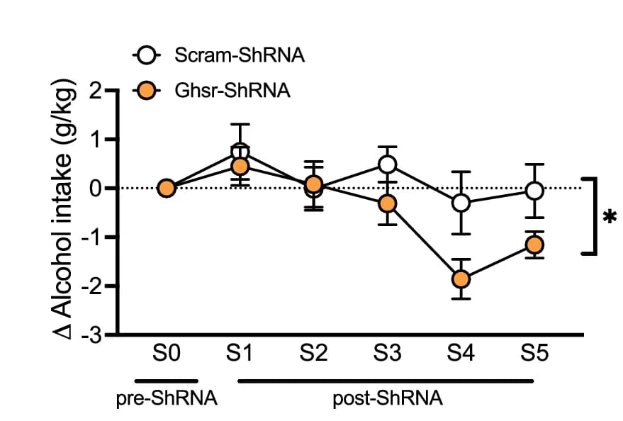 Open access visualization of Line Plot, Error Bars, GHSR Knockdown, EW CART Cells, Alcohol Consumption